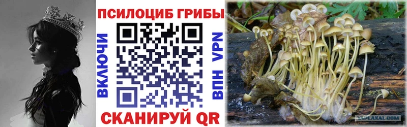 Купить закладки  Липецк  Псилоцибиновые грибы ЛСД 